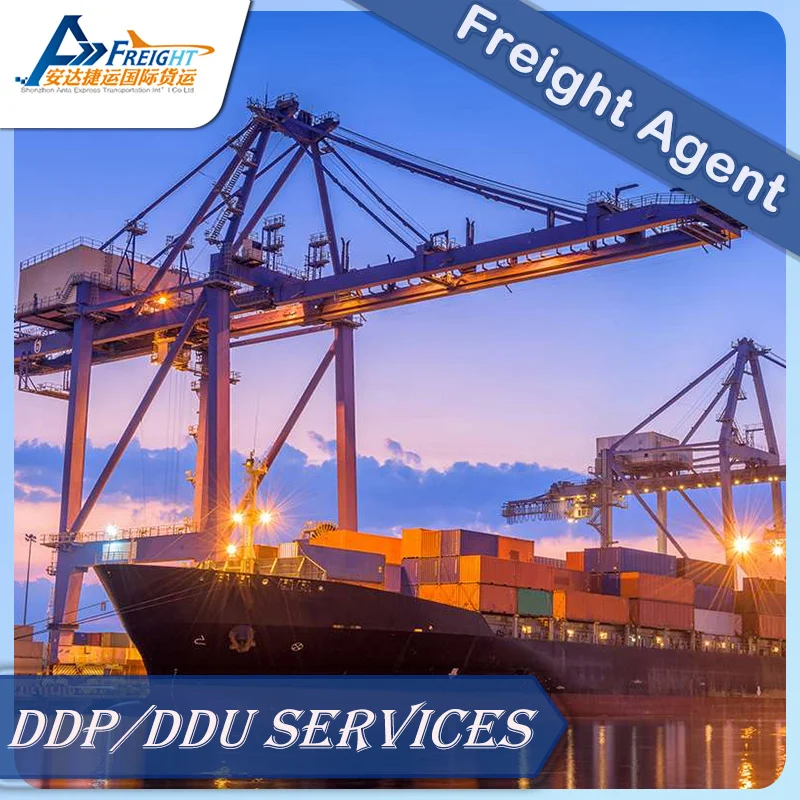 Door To Door Service For Saudi Arabia By Sea By Air DDP service