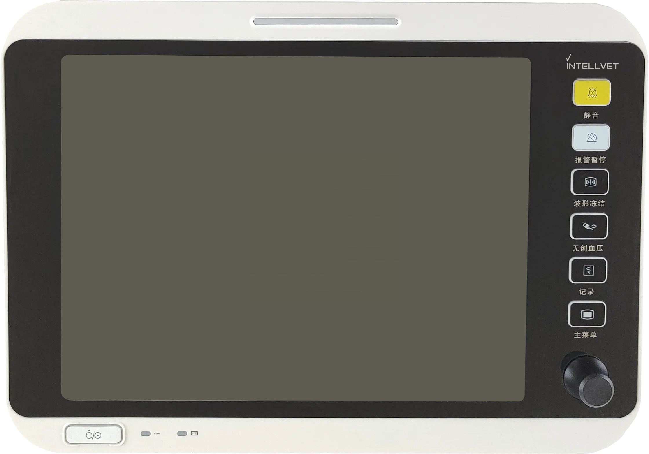 monitor veterinarian vet Veterinary medicine medivet pet hospital