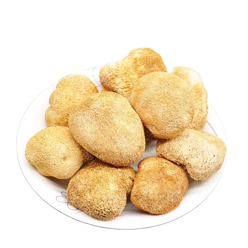 
Origin Supply Large Size Dried hericium erinaceus mushrooms Common for Sale 