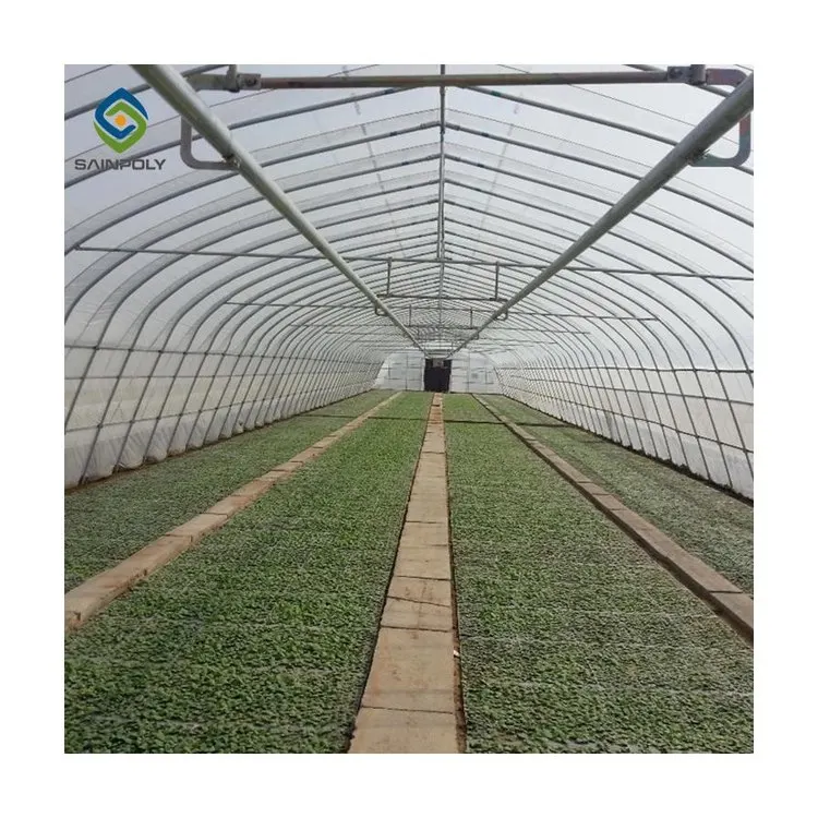 Galvanized steel frame luxury geodesic dome tunnel greenhouse greenhouse manufacturers used for sale