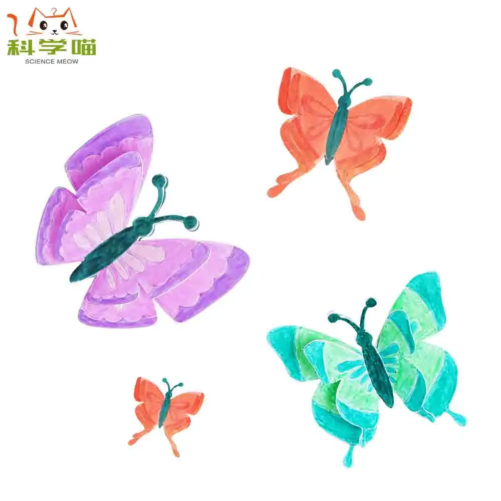 
diy educational toys stem science kit for kids electronics 