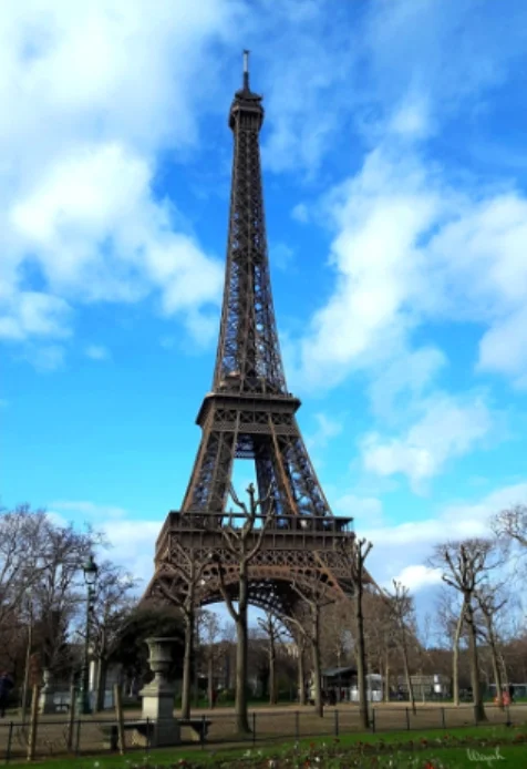 
220gsm blank polyester art canvas fabric roll for LaTeX printing 