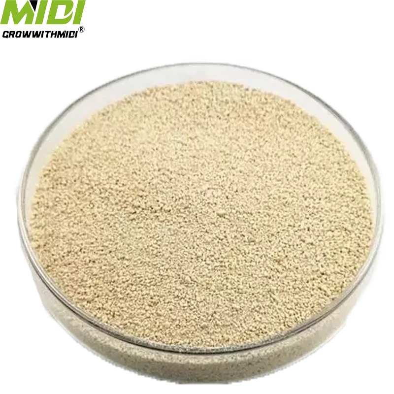 High Quality Feed Grade L-lysine 98.5% HCL Amino Acid Powder for Fish Dog Pig Cattle Horse Animal Use