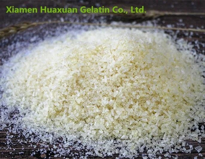 Gelatin Wholesale Factory Marine Unflavored Fish Gelatin Food Additives CAS9000-70-8