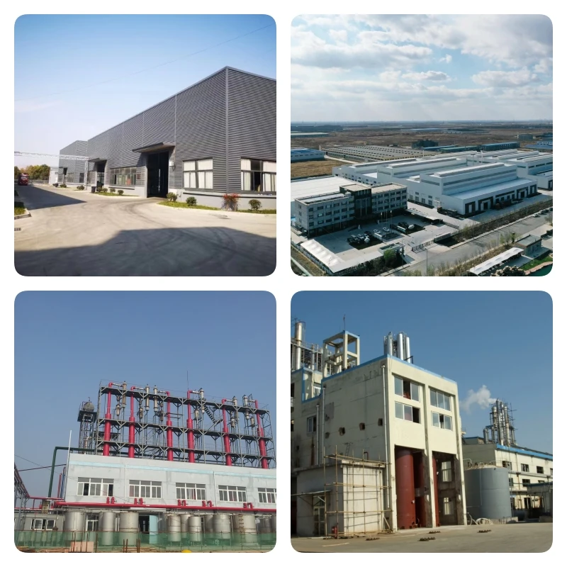 Food Grade odium carboxymethyl starch Carboxy Methyl Starch Sodium Powder Cas 9063-38-1 for Veterinary Tablet Binder