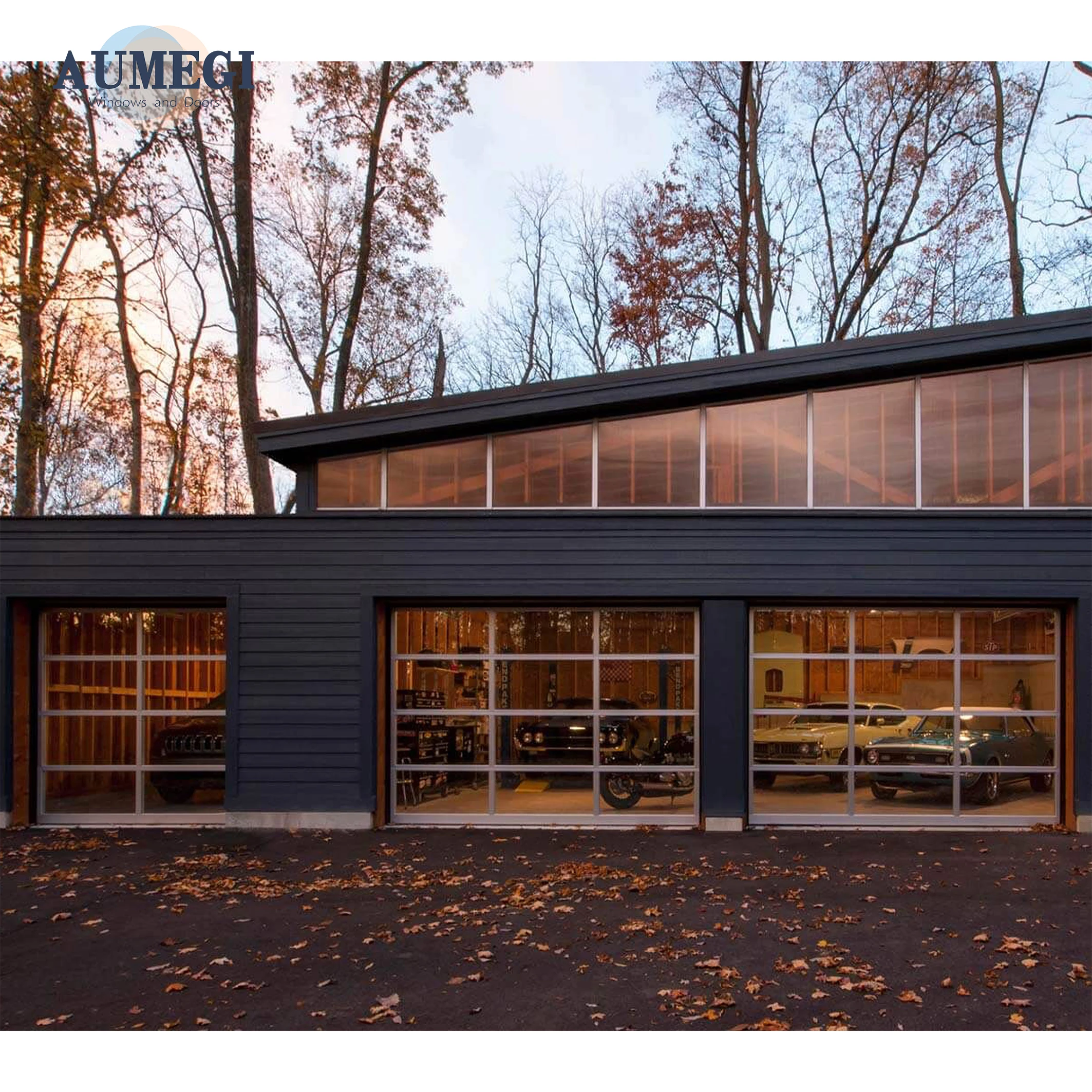 Aumegi Tempered Glass  Canopy Garage Doors Tube Shaft Garage Door Residential Garage Door