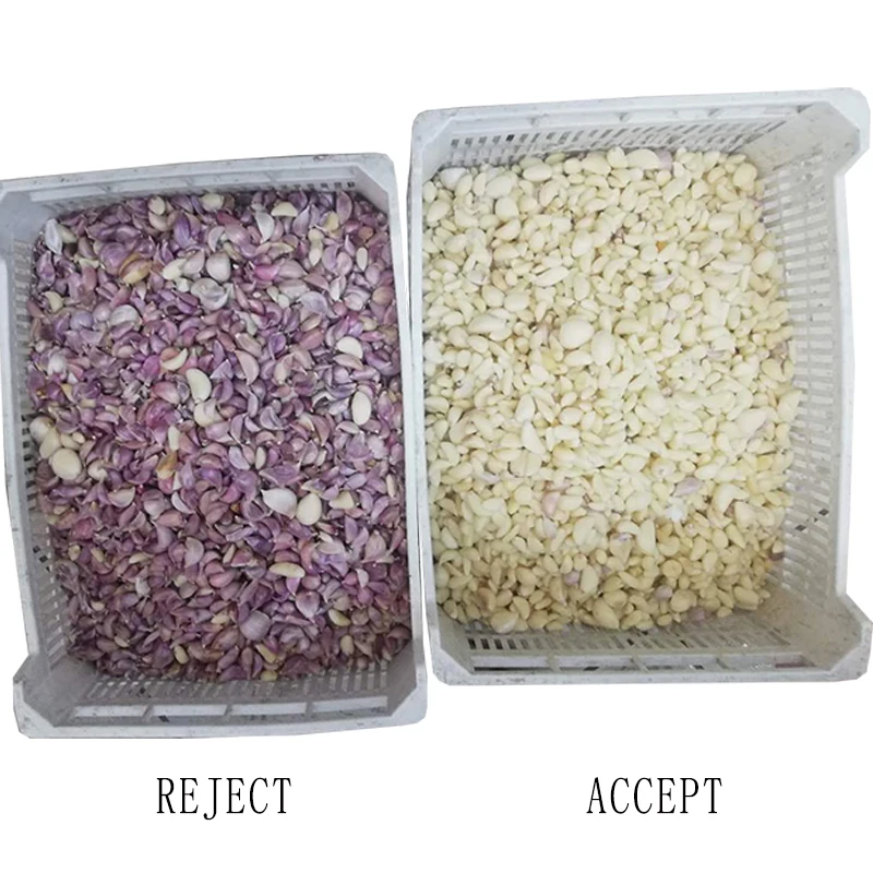 Black Garlic Sorter Processing Machine Peeled Garlic Sorting Machine