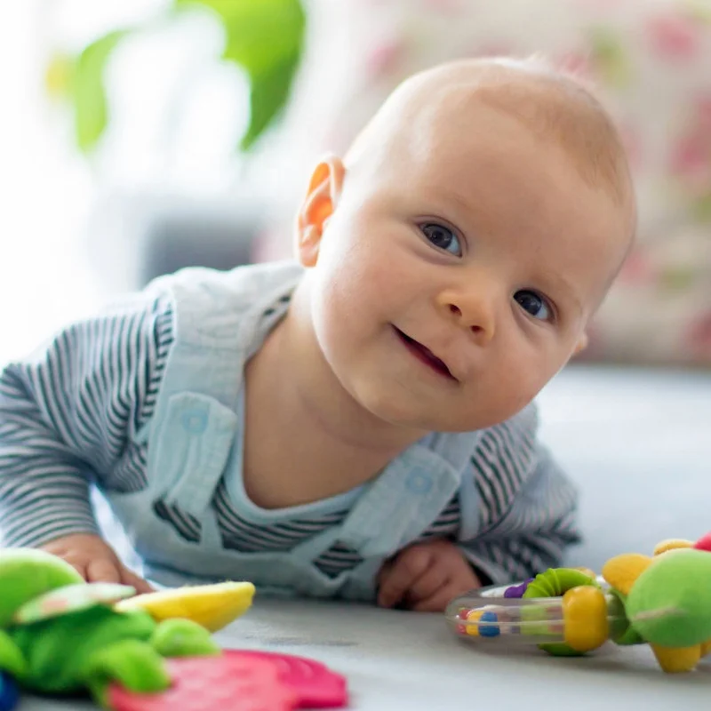 Rhinoceros BIBI Stick Plush baby hand bell