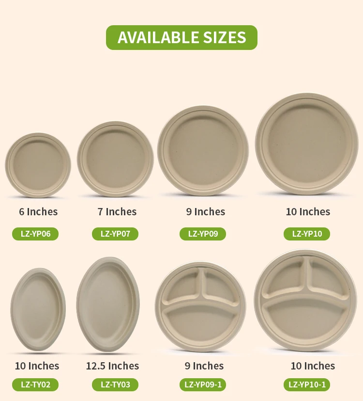 disposable plate 06