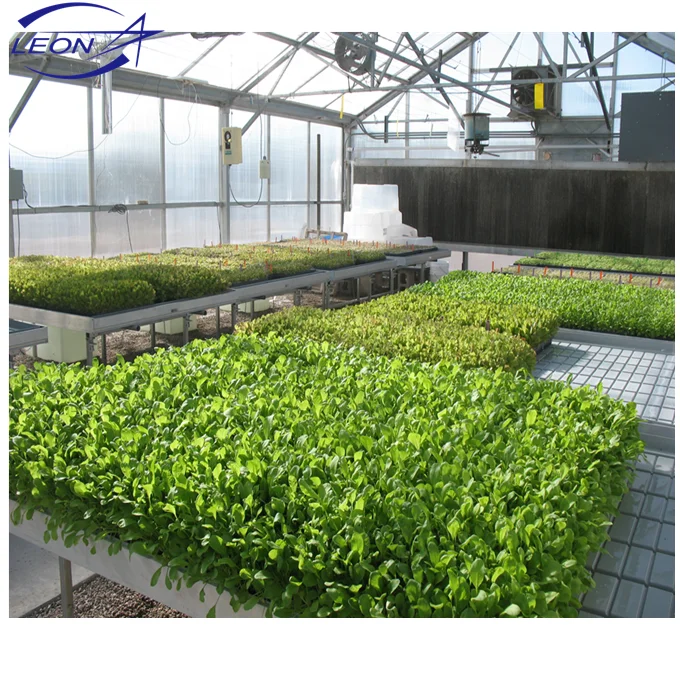 
Leon series best price hot sale plastic film and polycarbonate sheet greenhouse for sale 