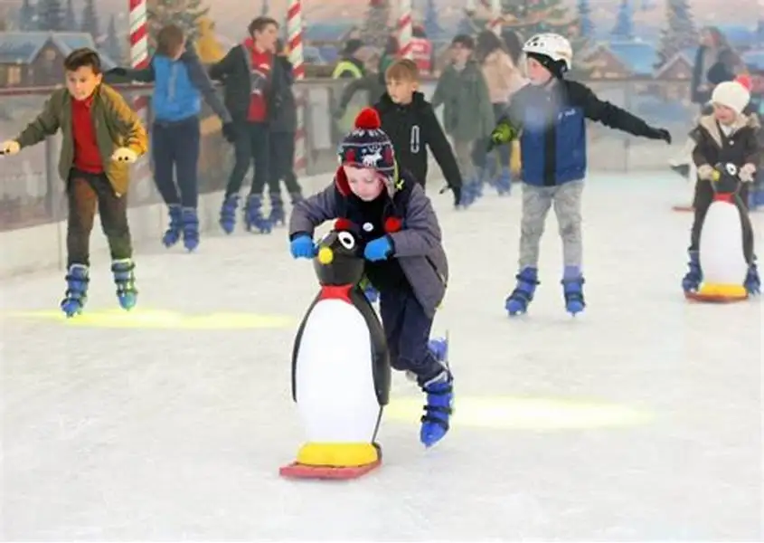 Ski Penguin Ice Skating Aid Skater Learning Aid For Toddlers For Sale