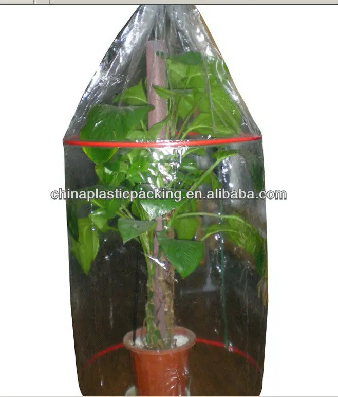 tomato tube cover /frost protection bag/garden used cover