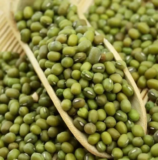 Сельскохозяйственная продукция глубоких в горах съедобные органические зеленые бобы