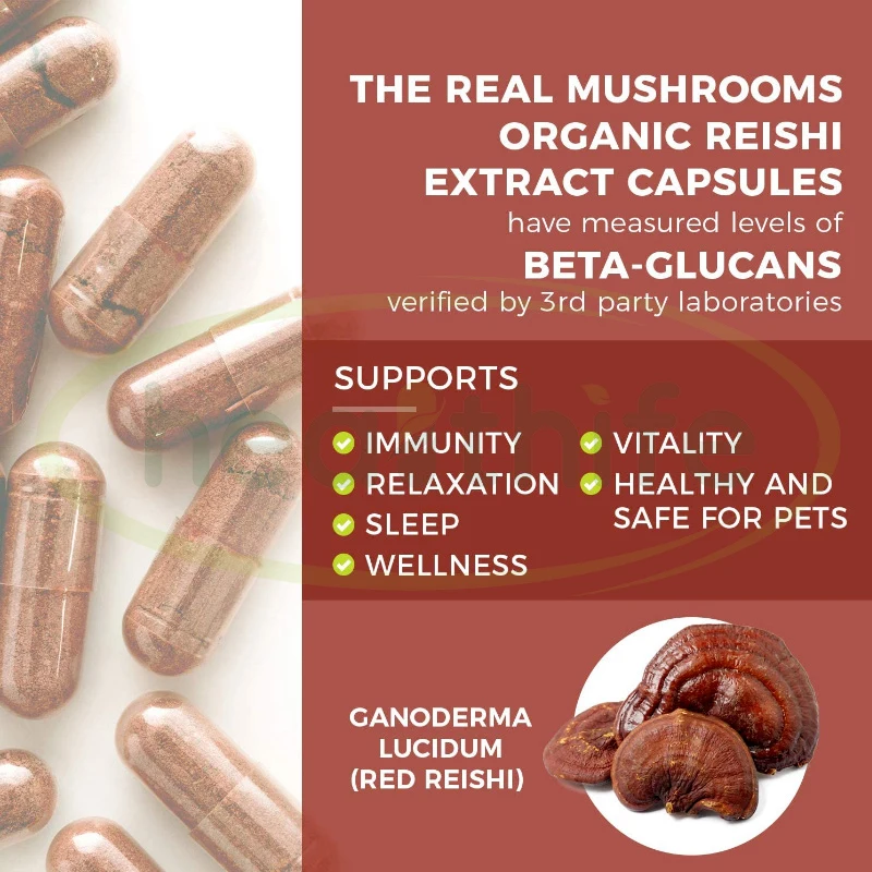 Healthife OEM Supplement Ganoderma Lucidum Extract Reishi Mushroom Capsules