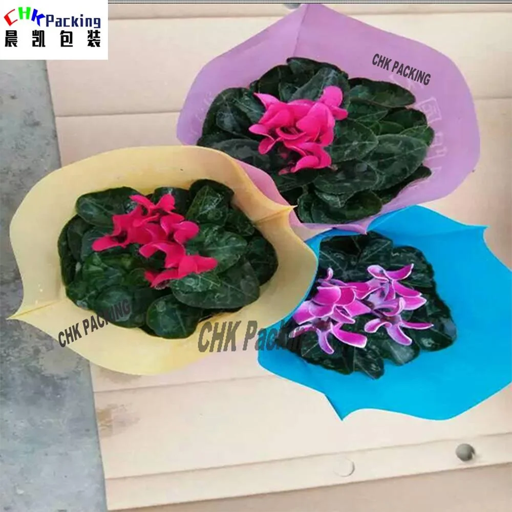 Qingdao CHK Packing flower plastic pot sleeves / plastic flower sleeves/pot Plant growing bags
