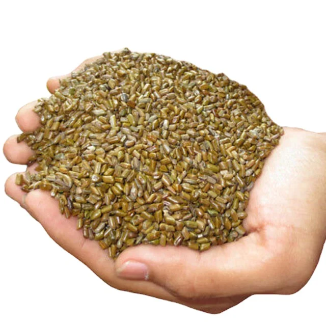 Индийское происхождение, семена кассии тора с 100% отсортированными