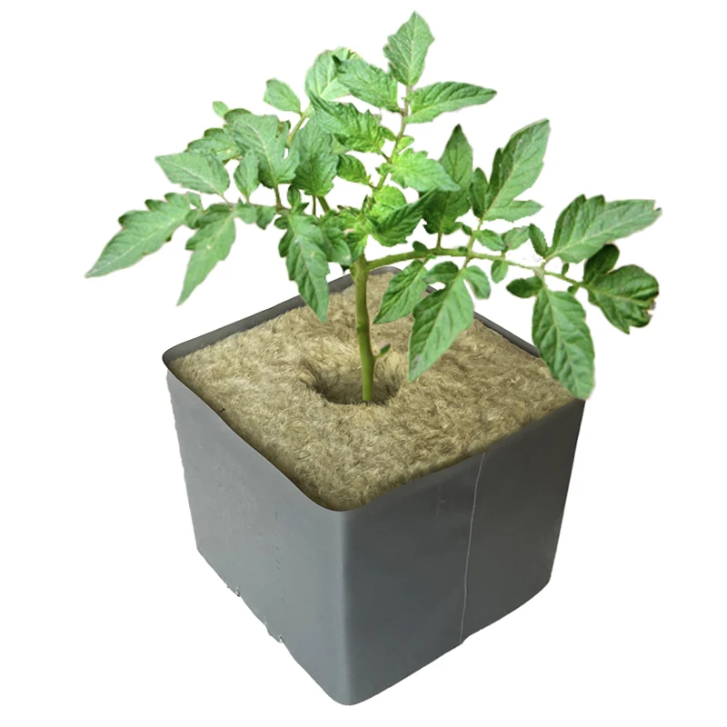 Plants Hydroponic Growing Block For Indoor Planting Rock Wool Planting For Hydroponic