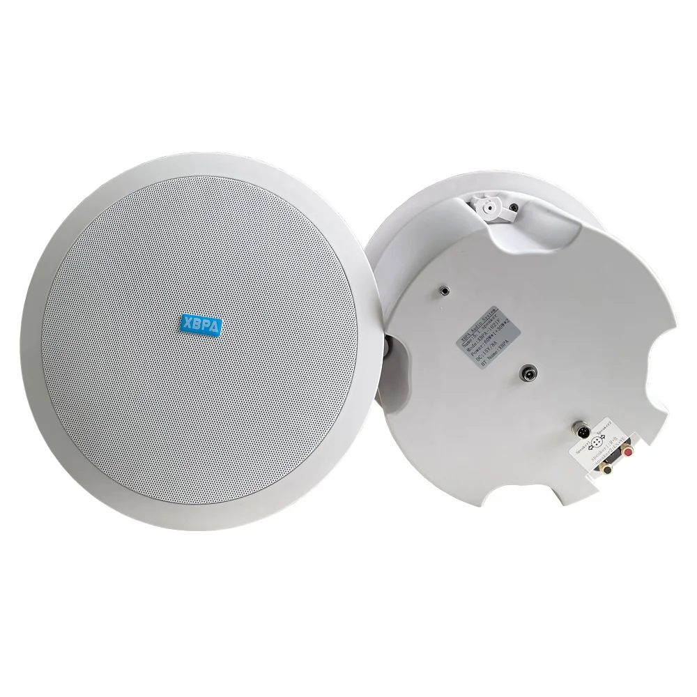 Home theatre system ceiling speaker With blue  WIFI function