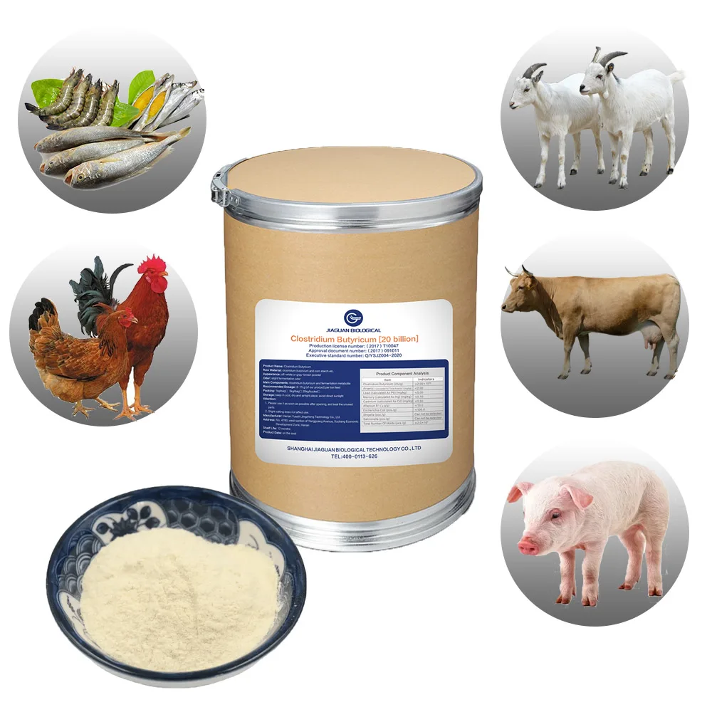 Probiotic Powder Premix Great Animal Feed Additive Clostridium Butyricum For Pig