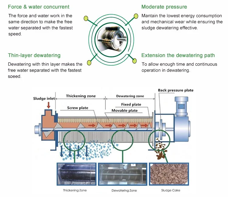 Industrial Effluent Stainless Steel Sludge Dewatering Screw Press Dehydrator Machine
