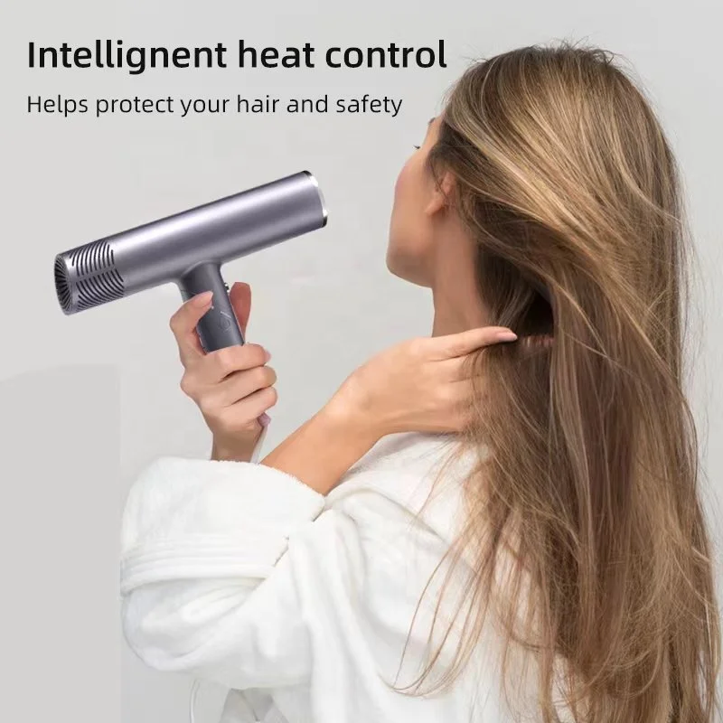 Smart Mini Hotel Ion Far Infrared BLDC Motor Air Hair Blow Dryer For Sale