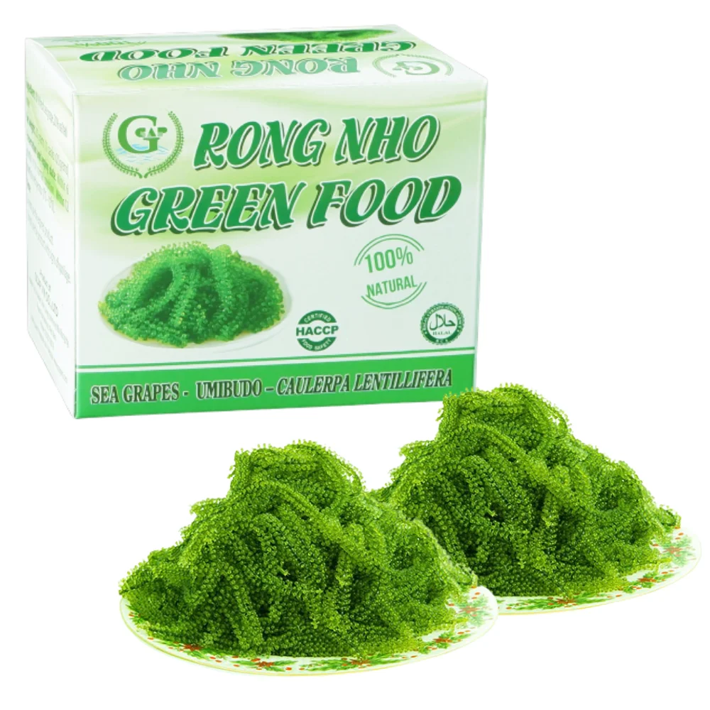 High Nutritious Salted Seaweed Sea Grapes Top Favorite Dried Fresh Laver ISO Certification Halal Approved Packaged Carton Box