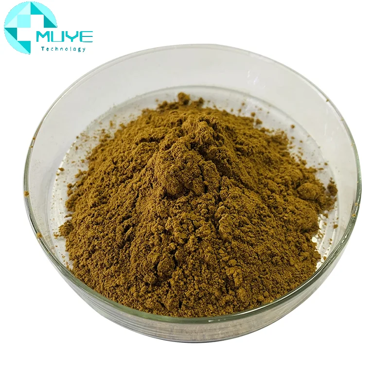 Wholesale Bulk 100% natural Pure 2% 10% Ajuga Turkestanica Extract Powder Turkesterone
