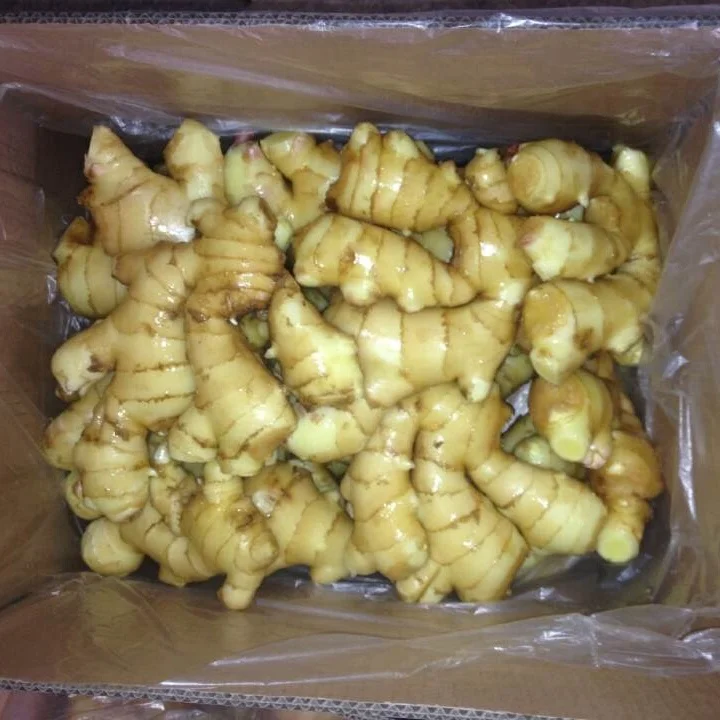
Hot Sale 2020 China/Chinese New Crop Fresh Ginger in Good Taste 