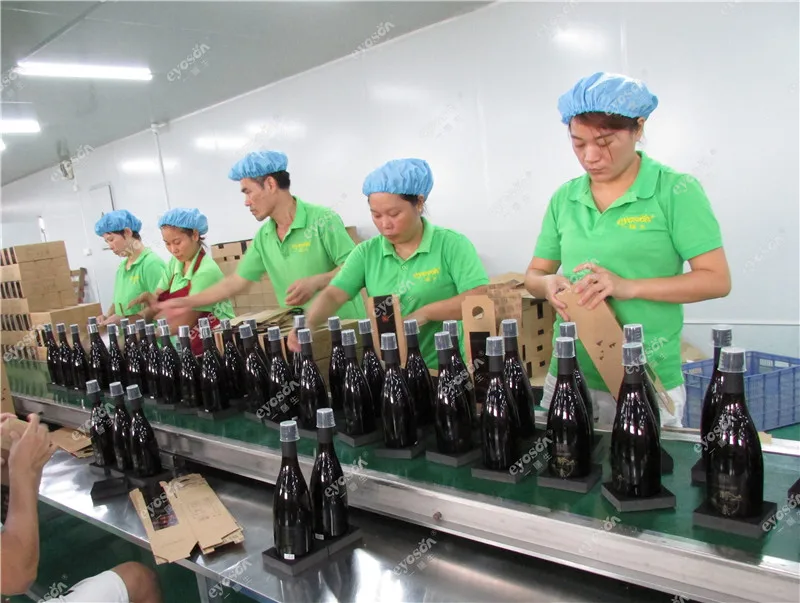 
600ml health care supplement plant fermentation energy drink 