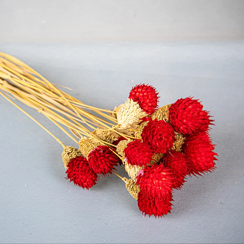 Chasewin Germany Australia top sale dried flowers real decorative flowers globe amaranth packing 15pcs each bag