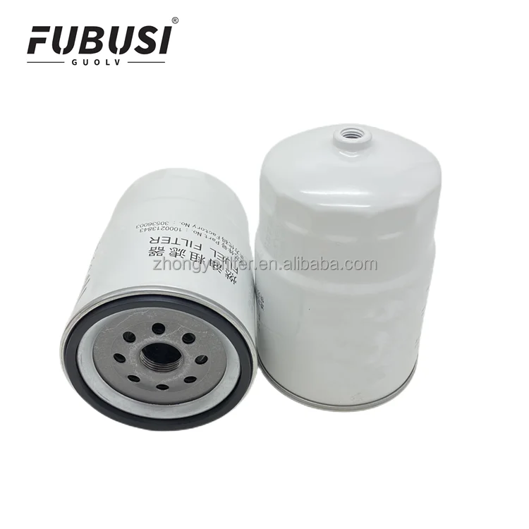 DS663010 Fuel Filter Oil-water separator 1000213843 1000871108 construction machinery accessories excavator filter element