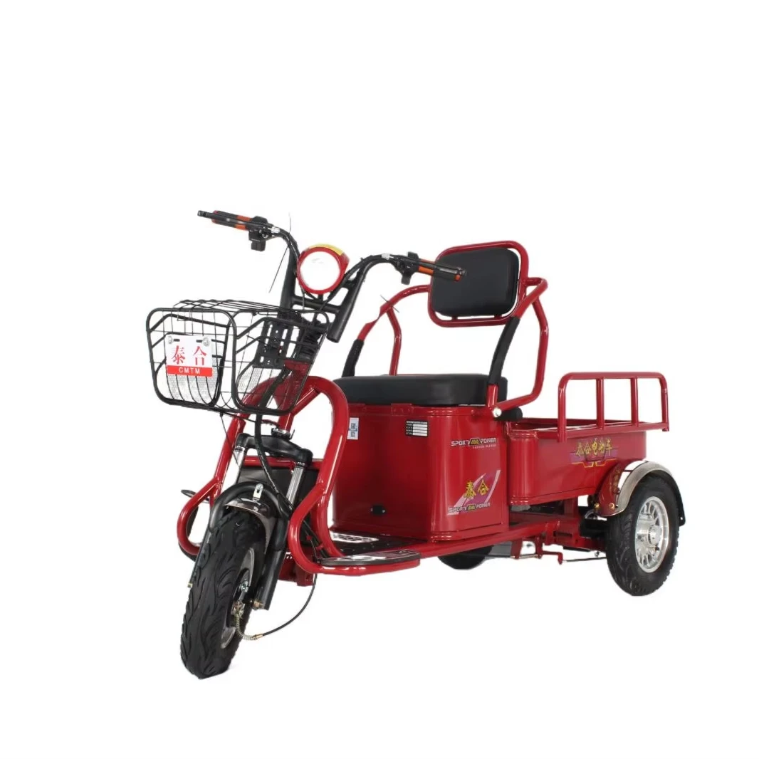 3 Wheel Motorcycle Electric Tricycles for adults Electric Motorcycle 3 Wheel Electric Scooter Electric Tricycle