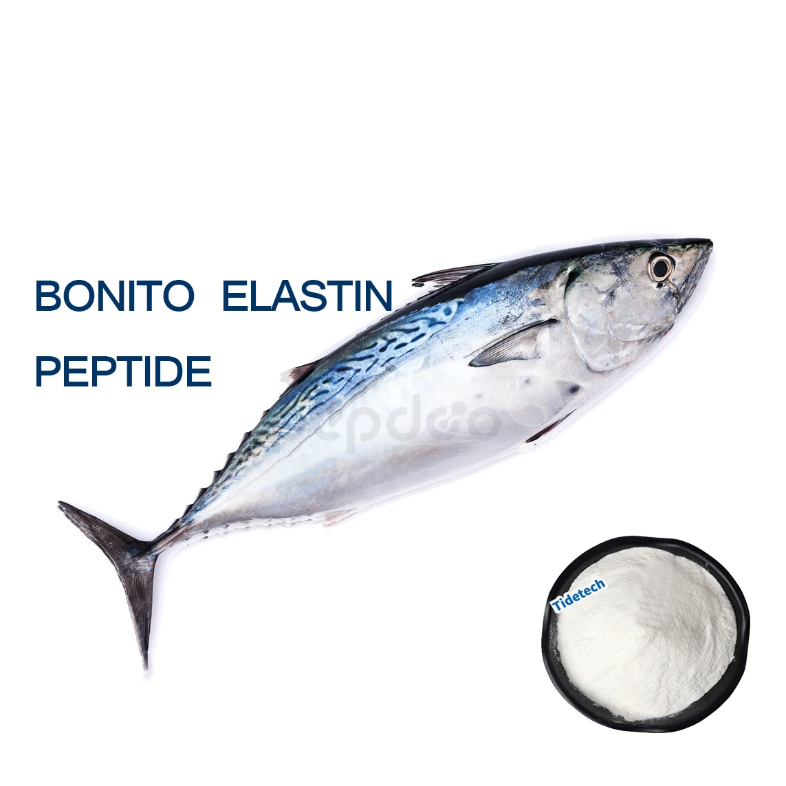 Elastin hydrolysate/bonito elastin peptides powder in stock