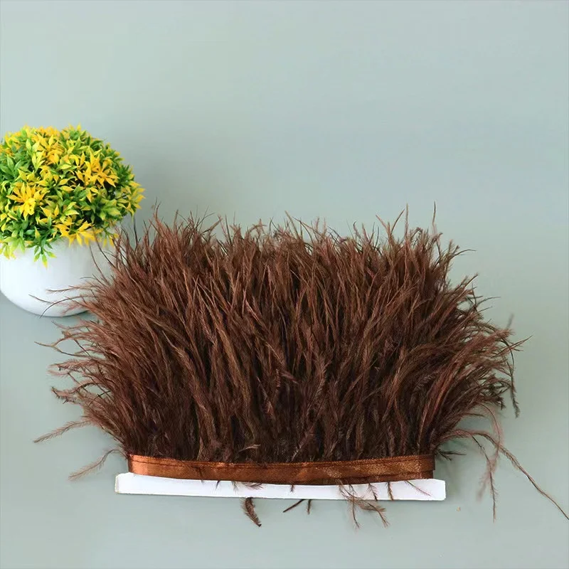Stock Color 8-10cm Ostrich Cloth Edge Clothing Accessories Products Accessories High Quality Ostrich Feathers Fringes