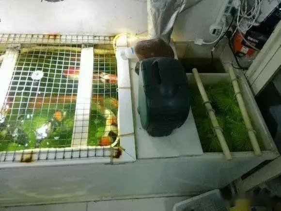 polypropylene tank/PPtank