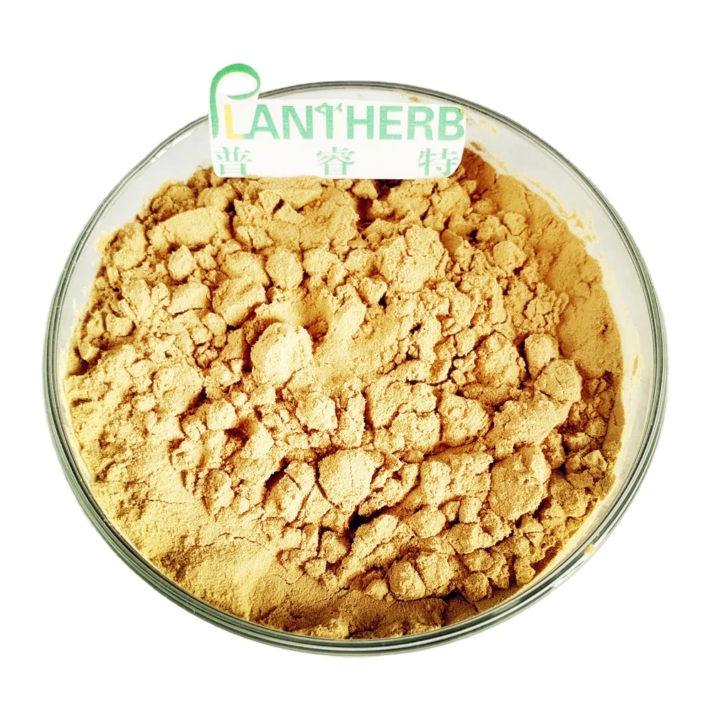 Astragaloside IV Astragalus Membranaceus Extract Astragaloside IV CAS 84687-43-4