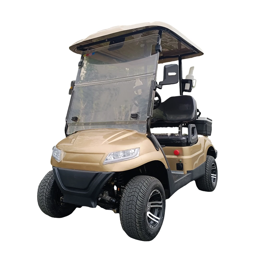 China Factory Direct  2 seater 4 seater electric powered golf cart with led light