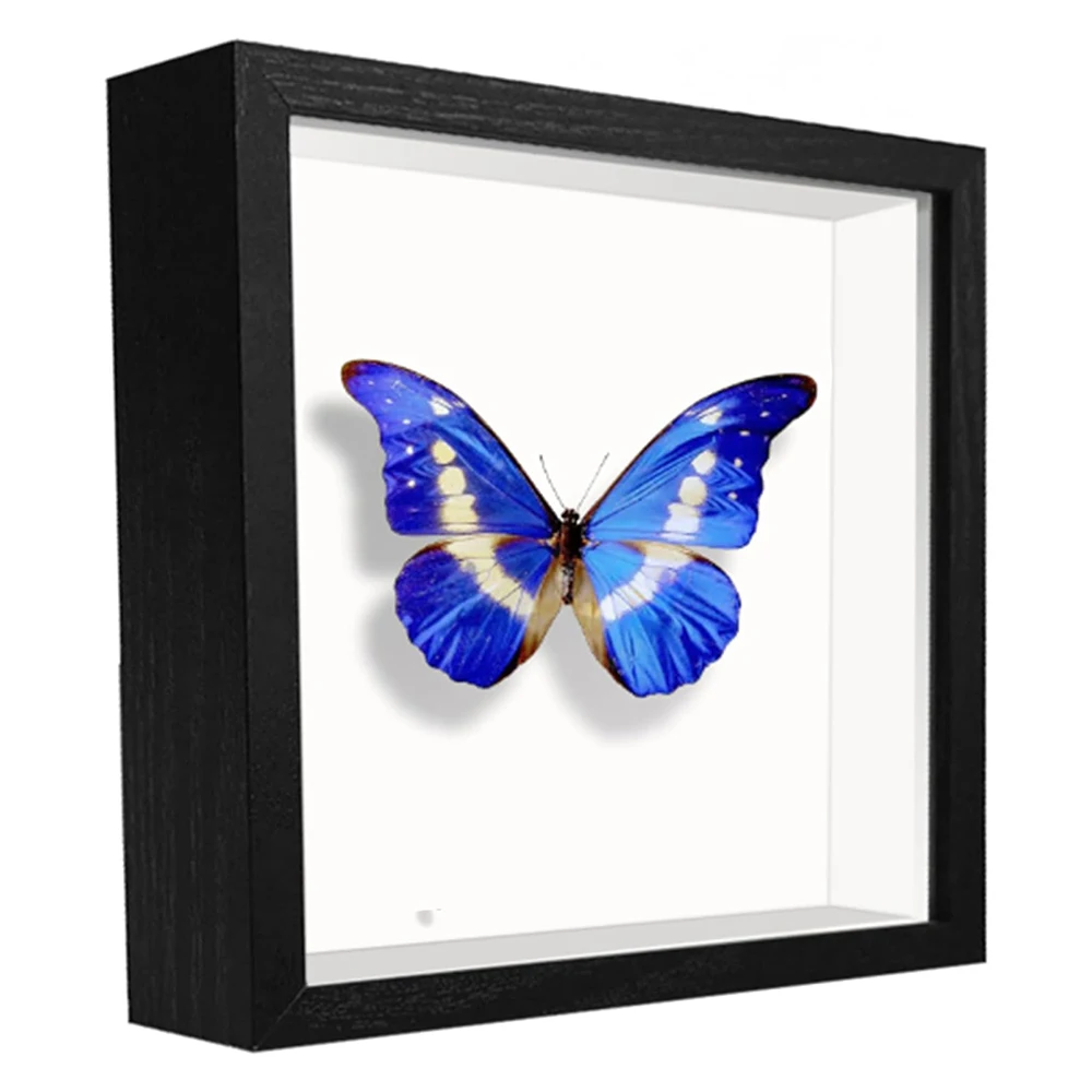 5x5 Small Shadow Box Frame Display Case Wall Mount Wooden Display Box with Plexiglass for Memorabilia Medal Crafts Tabletop