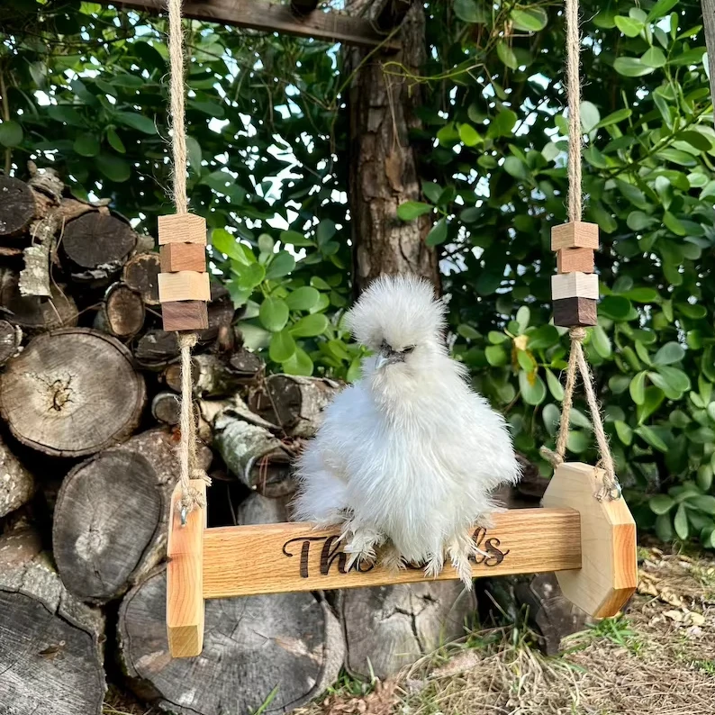 202406  Chicken Swing for Coop Chicken Perch for Rooster and Hens  accessories Chicken Toys