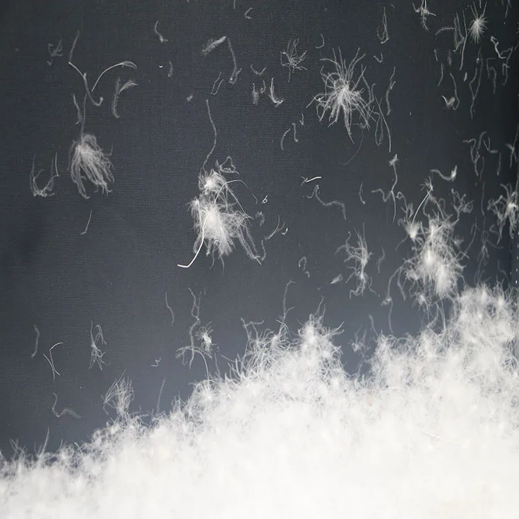 Factory Manufacture high filling power Washed White new Goose Down 70/10 Feather