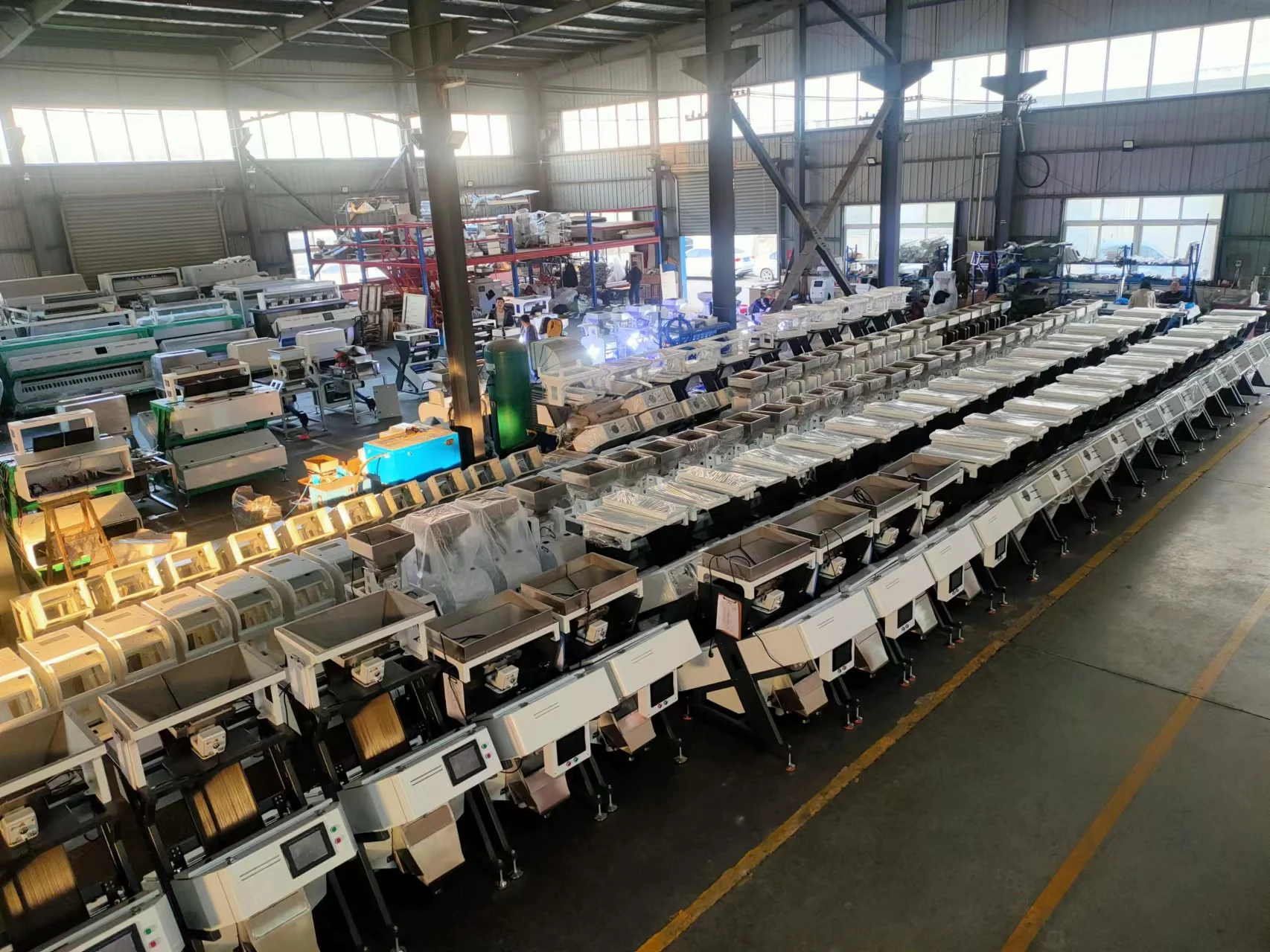 China Manufacturer Seeds Color Sorter Rice Color Sorter Machine Seeds Color Sorting