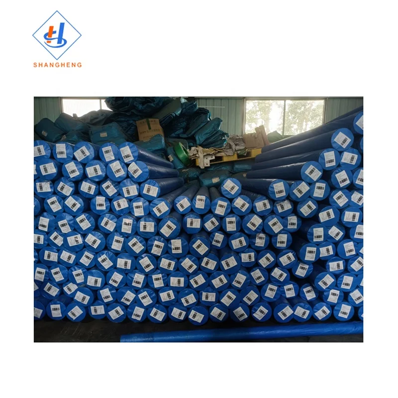 Korea White Blue Plastic Tarpaulin Stripe 200 Gsm Pe Tarpaulin Sheets Pe Tarp