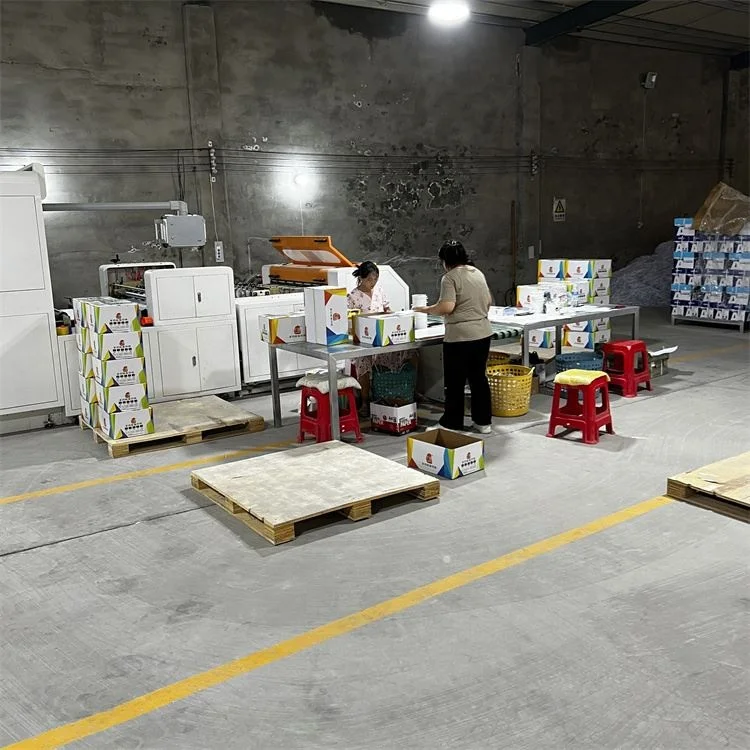 Copymate A4 Size Paper 70 Gram Svetocopy A4 Papers Double a Paper A4 Used Office Copy