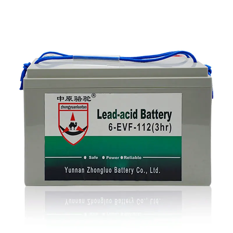 Hot Selling Wholesale 48 Volt batterie 50ah 100ah 110ah 160ah Lead acid Battery 48V 110Ah Golf Cart Batteries