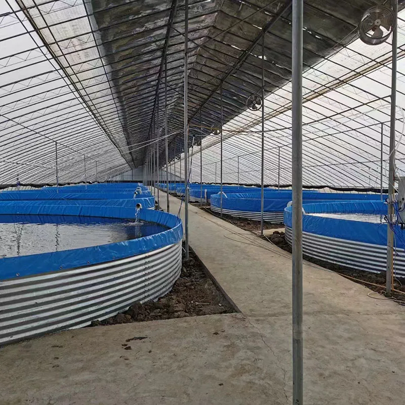 Аквариумы Biofloc с проточной системой для рыбоводства