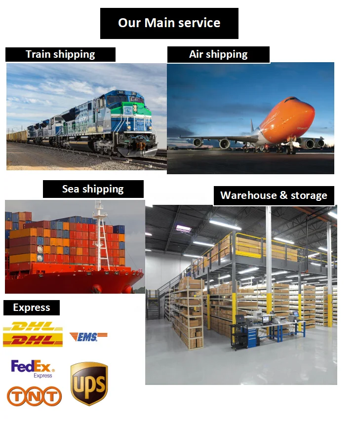 Ship Cargo Amazon Freight Forwarder Sea Shipping Agent Shipping Cost China to Spain Germany UK Europe