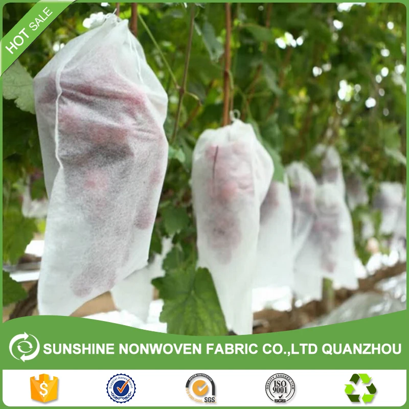 Polypropylene Nonwoven Plant Protection Blankets PP Non Woven Cover Agricultural Frost Blanket