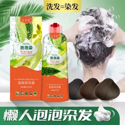 Wholesale Natu-ral Black Hair Dye Shampoo For Women Multiple Colour Brand Herbal Care Hair Dye