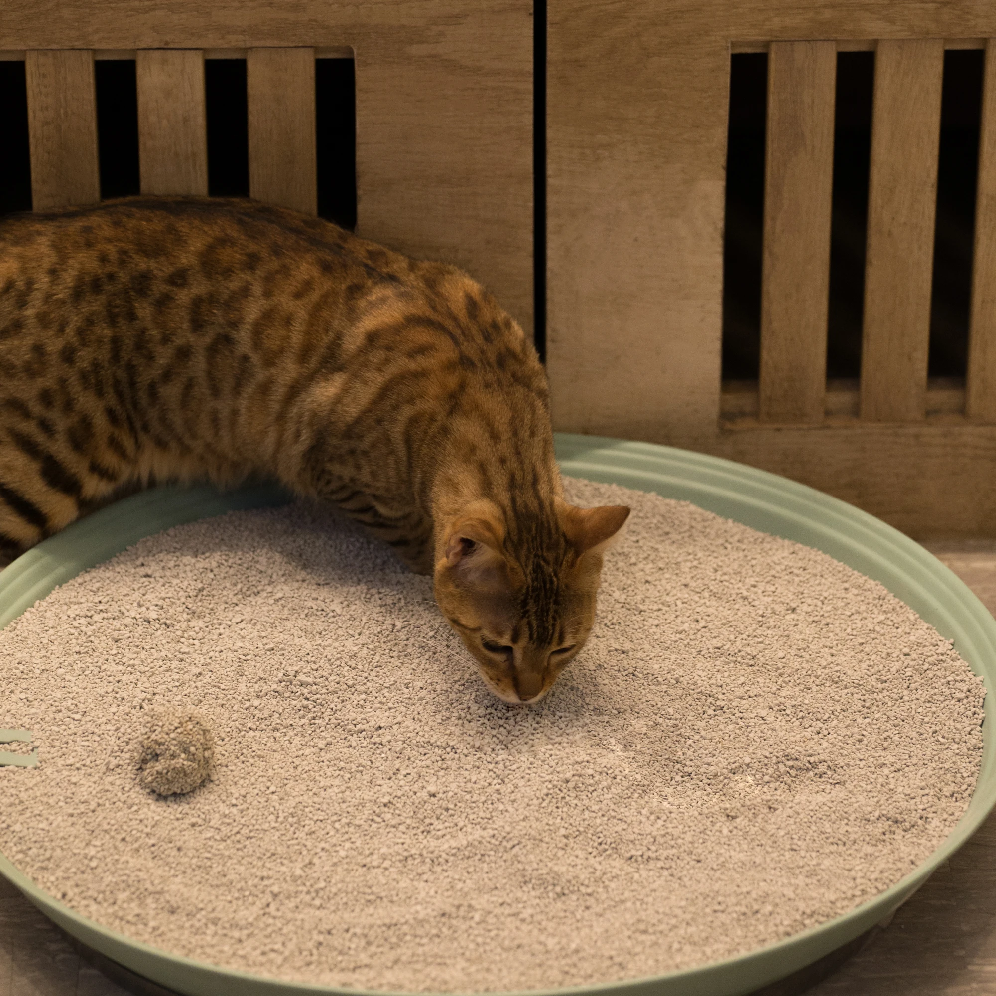 
factory supply dust free Natural bentonite clay cat litter wholesale 