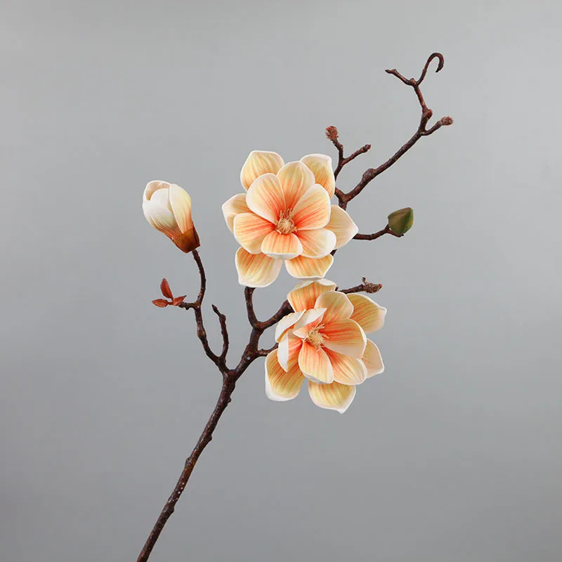 Wholesale Real Touch Handmade Artificial Flower Orchids Artificial Carton Customized Natural Preserved flower